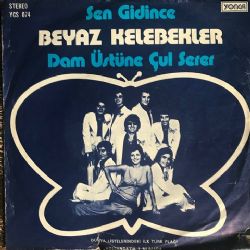 Sen Gidince