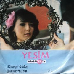 Nereye Kadar 