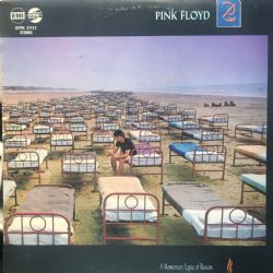 A Momentary Lapse Of Reason