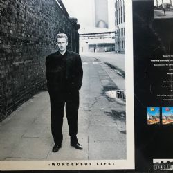 Wonderful Life