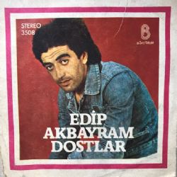 Aldırma Gönül