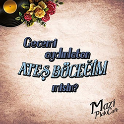 Gecemi Aydınlatan Ateş Böceğim Misin Kart