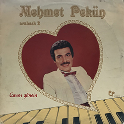 Arabesk 2 Canım Gibisin