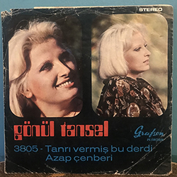 Deli Gibi Sevdim