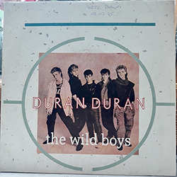 The Wild Boys