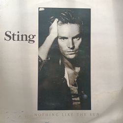 Nothing Like the Sun Double LP