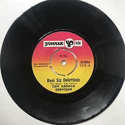 Beni Siz Delirttiniz