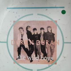 The Wild Boys