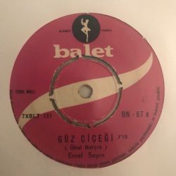 Güz Çiçeği