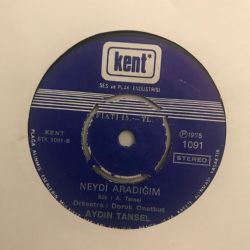 Neydi Aradığım