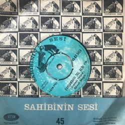 Çamlar Altına