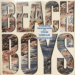 The Beach Boys