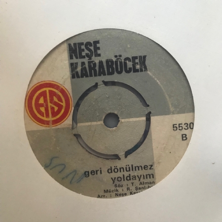 Geri Dönülmez Yoldayım