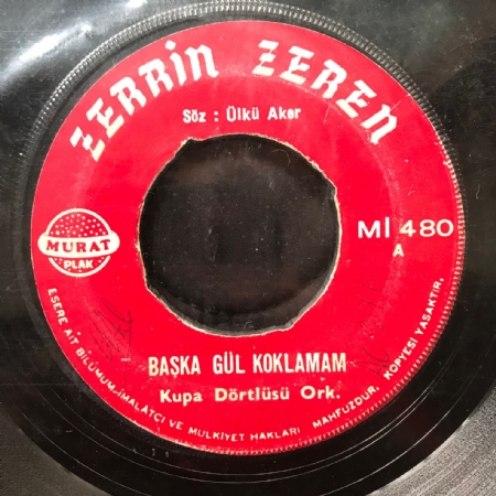 Kanım Kaynadı Sana