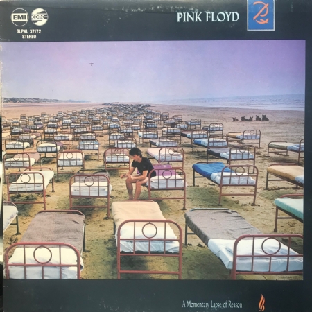 A Momentary Lapse Of Reason