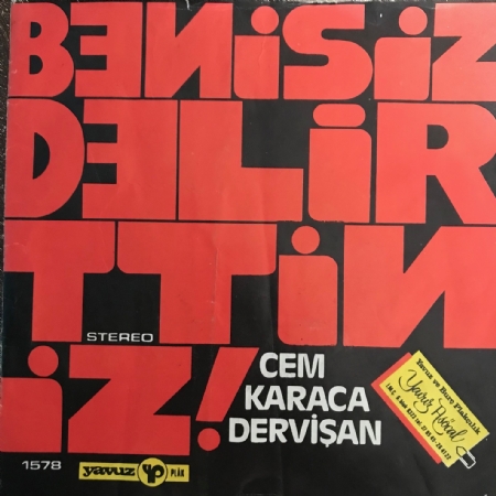 Beni Siz Delirttiniz