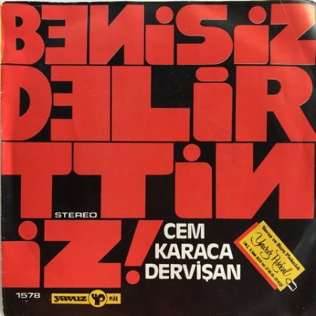Beni Siz Delirttiniz