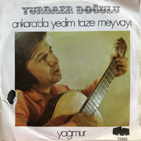 Ankara'da Yedim Taze Meyvayı