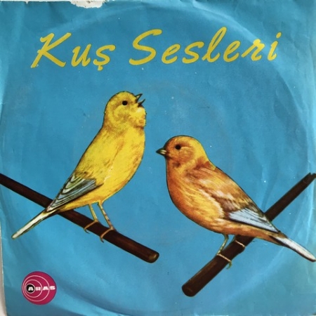 Kanarya Sesi (Birinci Kısım)