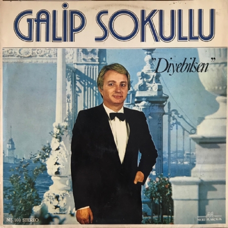 Diyebilsen