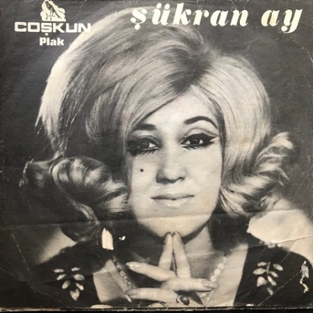 Sevmekten Kim Usanır - Mini LP - 6 Parça