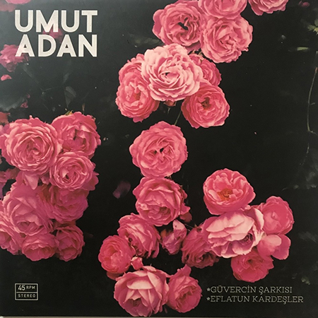 Güvercin Şarkısı