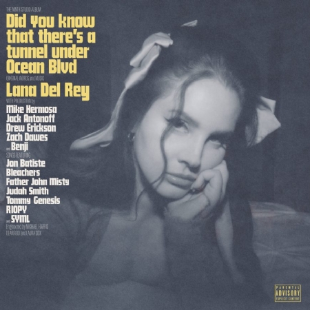 Did You Know That There's A Tunnel Under Ocean Blvd - 2LP