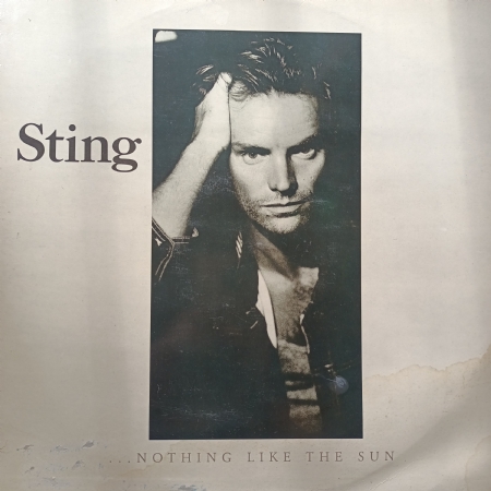 Nothing Like the Sun Double LP