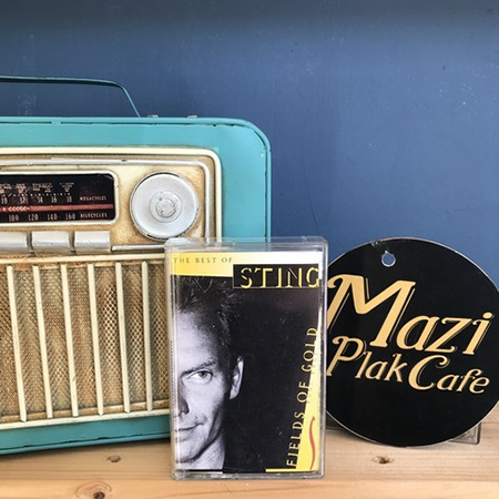 The Best Of Sting - Fields Of Gold