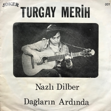 Nazlı Dilber