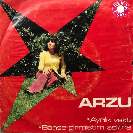 Ayrılık Vakti