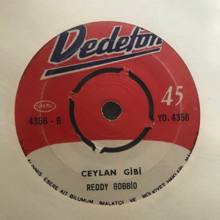 Solmayan Çiçekler