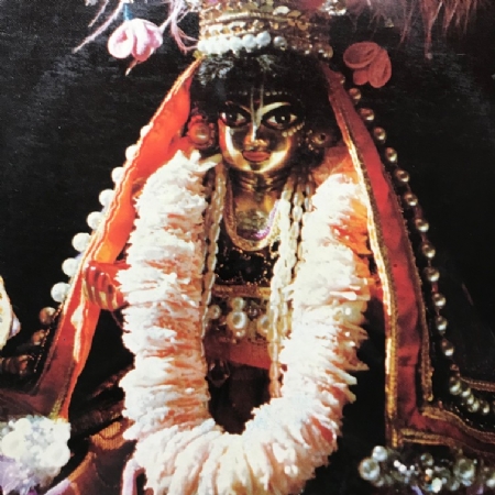 Hare Krsna Festival